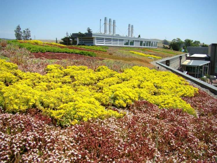 Verejná budova továrne na modernú architektúru zelenej strechy