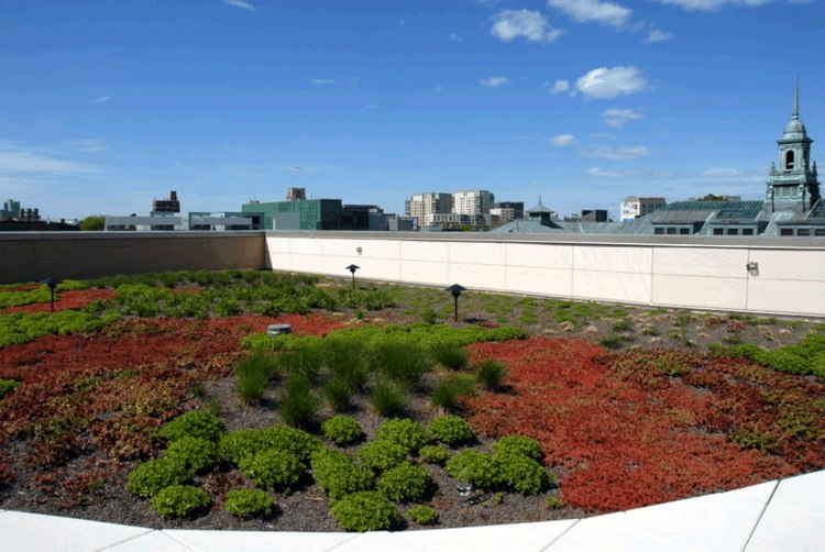 Zelená strecha budova s ​​plochou strechou moderné stavebné projekty