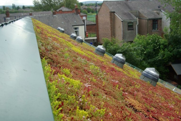 Zelené strechy Šikmá strecha extenzívne zelené strechy Príklady
