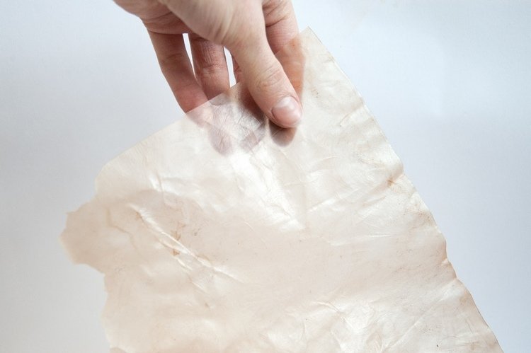 Šetrné k životnému prostrediu balenie baktérií kvasinky ekologické skladovanie transparentný materiál potravín