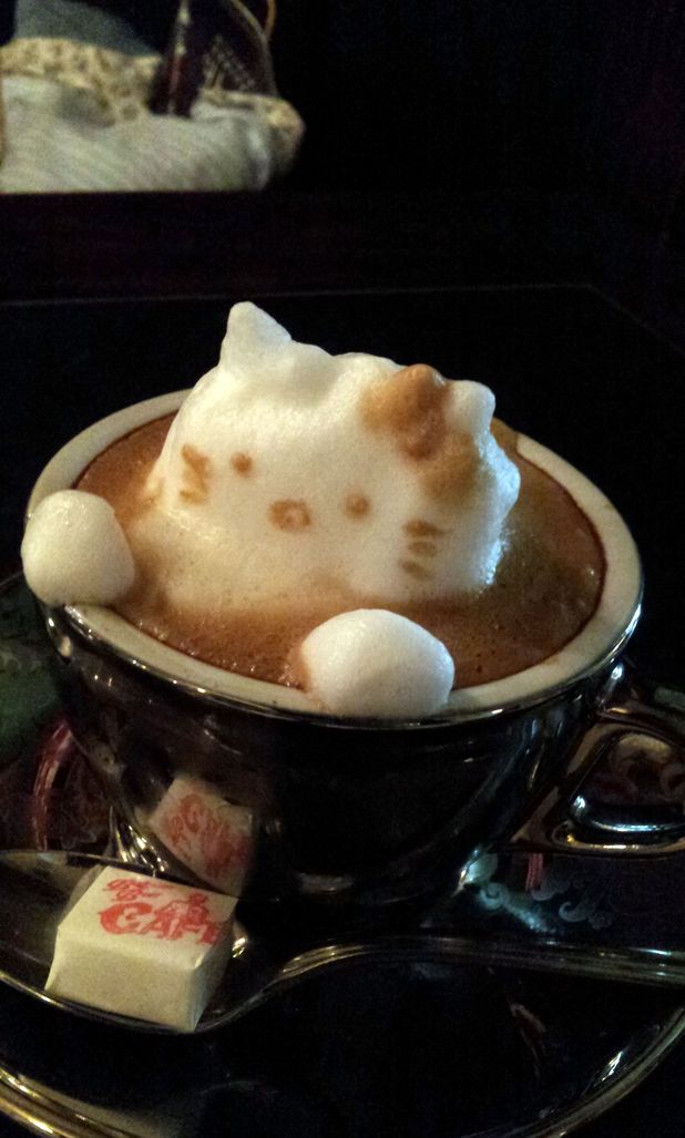 3d latte cafe art kazuki yamamoto ahoj mačička mliečna pena
