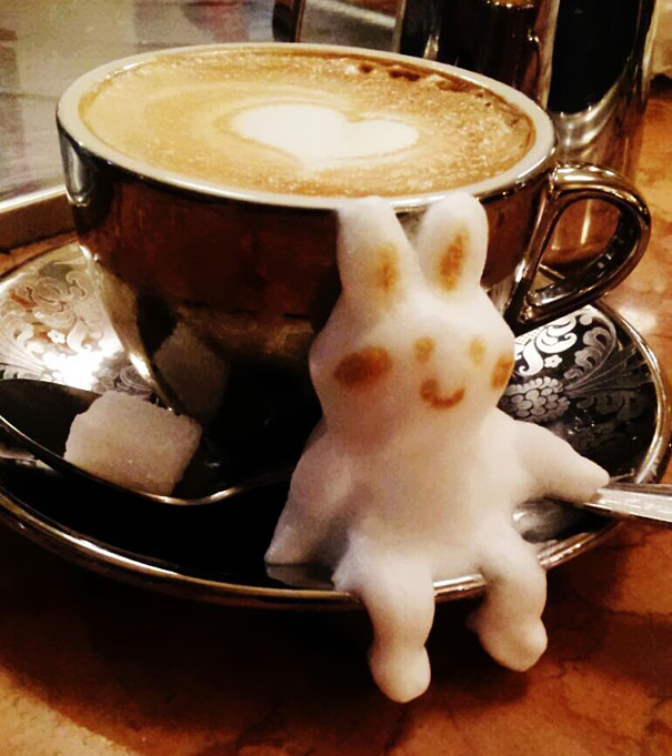 3d latte coffee art kazuki yamamoto zajačik tanier sediaci
