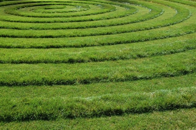 Chladivý dizajn mulčovacieho robota pre starostlivosť o trávnik Udržujte mulčovací robot v pohode okolo kruhov