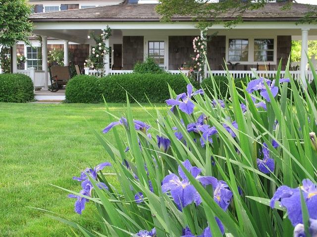 Tieto tipy na pomoc pri boji s burinou Tieto opravné prostriedky pomáhajú triky s kontrolou buriny