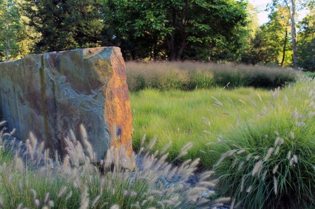 Tipy na starostlivosť o trávu na okraji trávy nápady pre rýchly začiatočníkov Tipy na starostlivosť o burinu Rýchly začiatočník hobby záhradníci