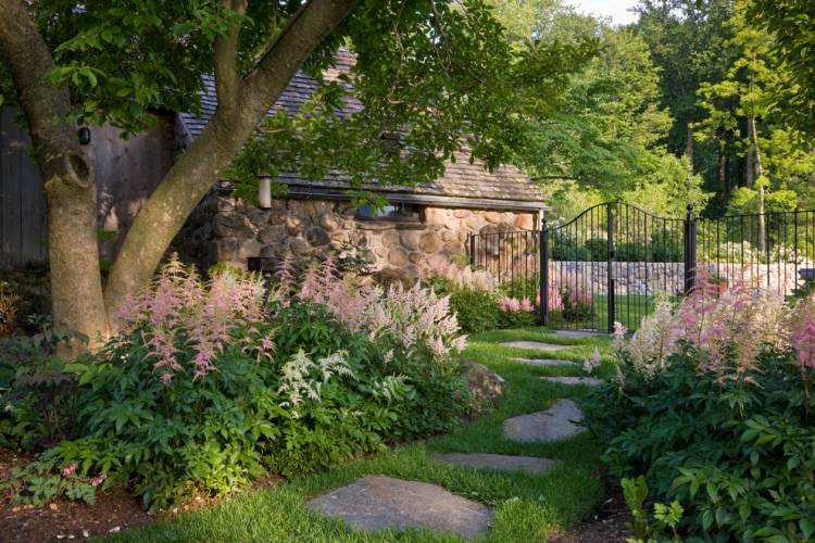Nádherné vrabce zasadené v tieni stromu podsadba-strom-tieň-nádhera
