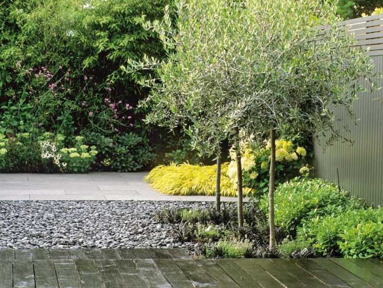 Olivovníky vysadené okrasnými trávami podsadba-olivovníky-okrasné-trávy-štrkové záhony