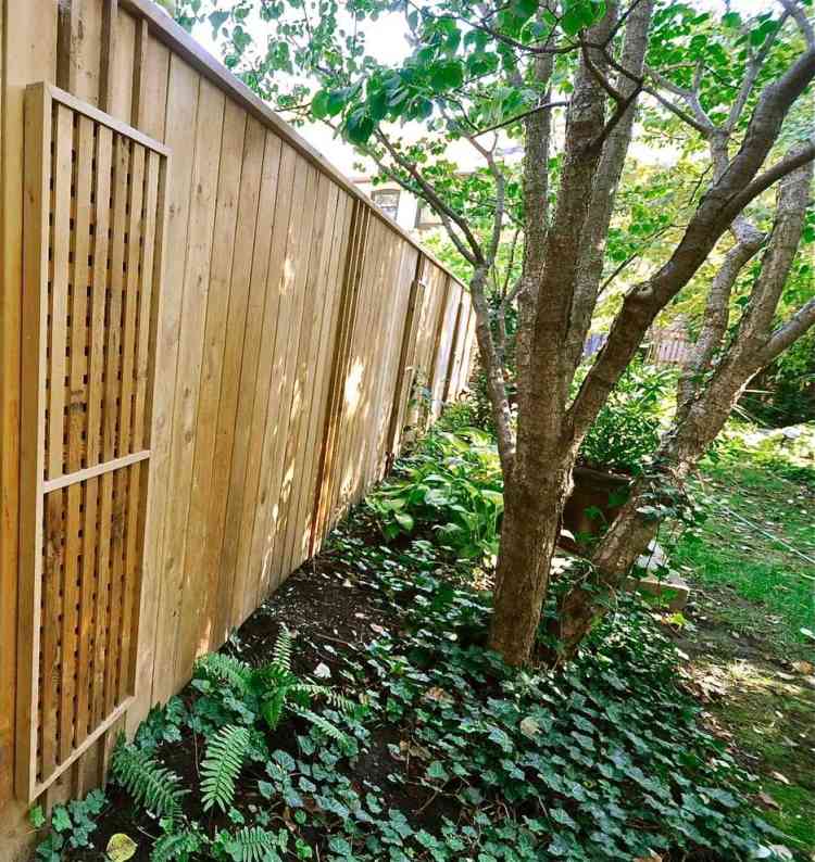 Paprade a brečtan vysadené pod stromami podsadenie-stromy-tieň-papradie-brečtan-funkias