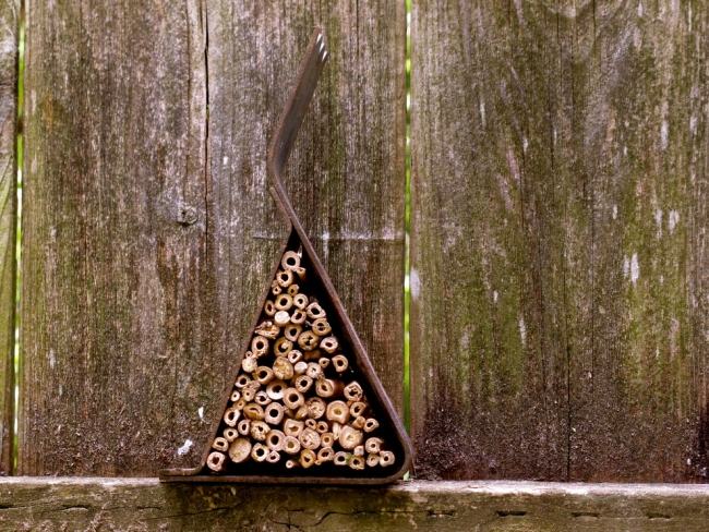 Divoká príroda-mestská záhradná krajina-inštalácie Lisa Lee Benjamin