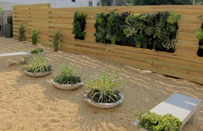 Mesto-mimo krajiny-sukulentné výsadby kaktusov-Philadelphia Point Breeze