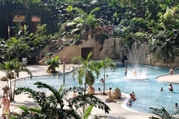 Tropický svet Nemecko lagúna palmy bazény dažďový prales Tropický svet Nemecko lagúna Palmové bazény Rainforest Tropické rastliny