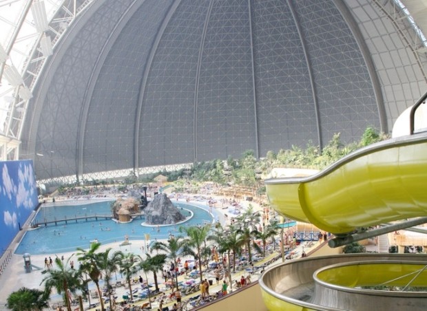 Vnútorné dažďové lesy-tropicko-exotické rastlinné druhy-snímky Vnútorný dažďový prales-tropicko-exotické druhy rastlín-kĺzačky obrovské