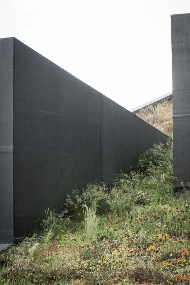 ofsetové úrovne-drevená podlaha-svah-pozemok-lúčne kvety