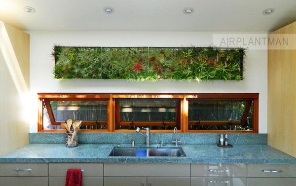 airplantman joshrosen vertikálne minizáhradky vnútorná kuchyňa