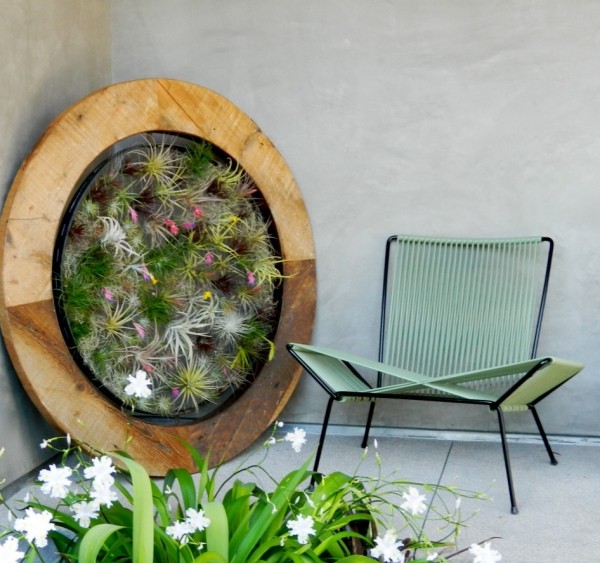 Vertikálna záhrada josh rosen tillandsien drevený rám okrúhly