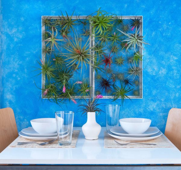 Okrasný rám vertikálneho záhradného leteckého chirurga