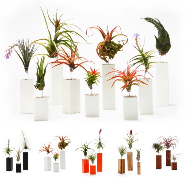 nádoby na výsadbu vázy podstavec rastliny bez koreňov