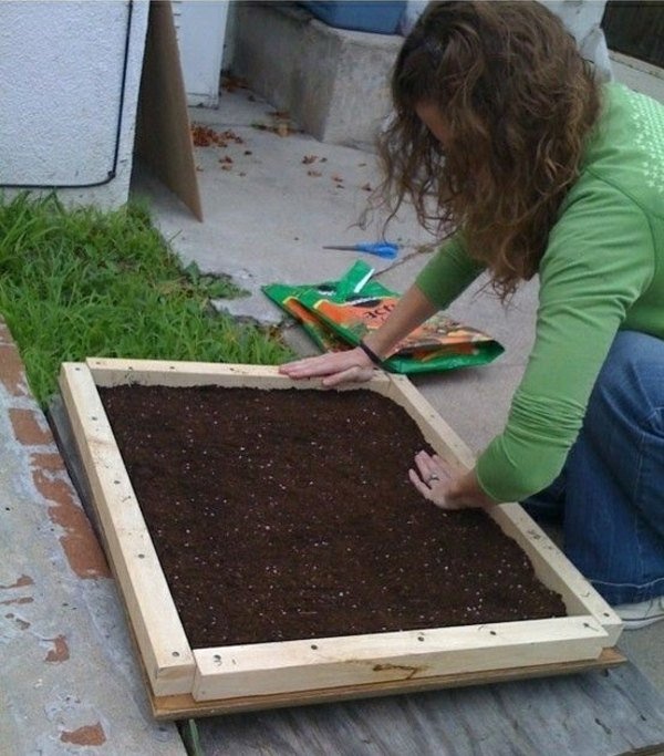 Zarámujte vertikálne záhrady a vytvorte nápady