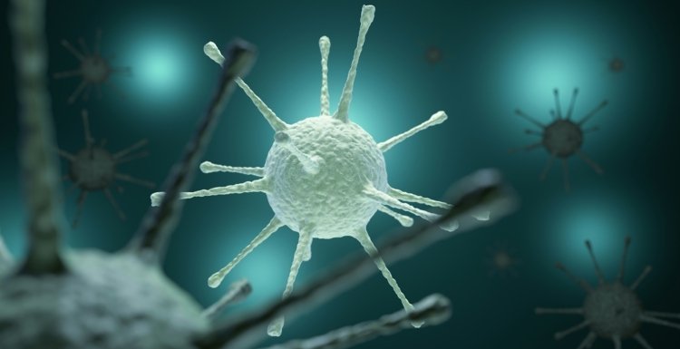 Vírusová meningitída - Rastúce choroby v Andalúzii