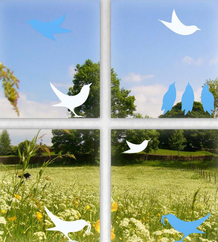 vtáčia silueta-okenné sklo-bezpečné-vtáčie-bezpečné-okenné-dekoračné fólie