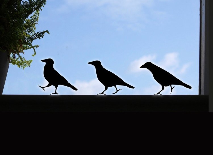 vtáčia silueta-sklenené-okno-vtáčie-bezpečné-nápady-havrany