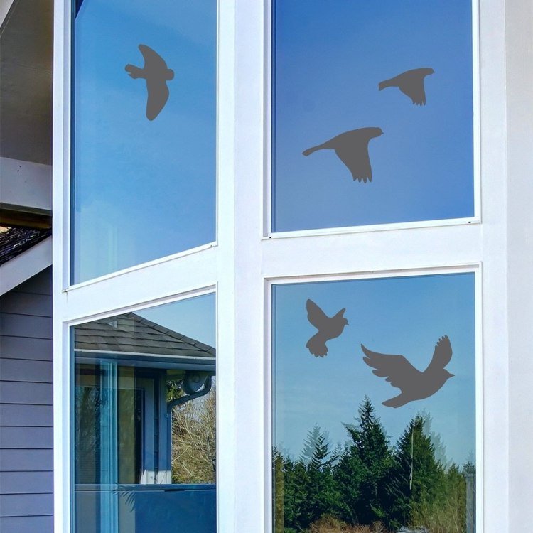 vtáčia silueta-okenné sklo-bezpečné-vtáčie-samolepky-urob si sám