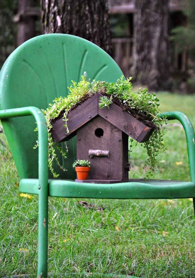 Birdhouse-build-yourself-wood-plants-roof-green-chair