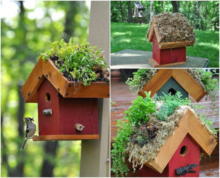 Vtáčia búdka-postavte si-červeno-zeleno-drevo-machové rastliny
