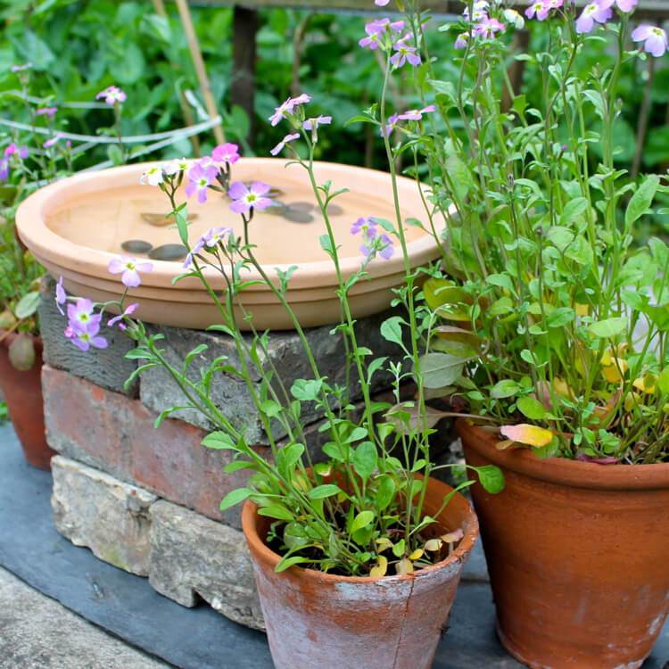 Vyrobte si svoj vlastný vtáčí kúpeľ na balkóny z hlinených podložiek a tehál