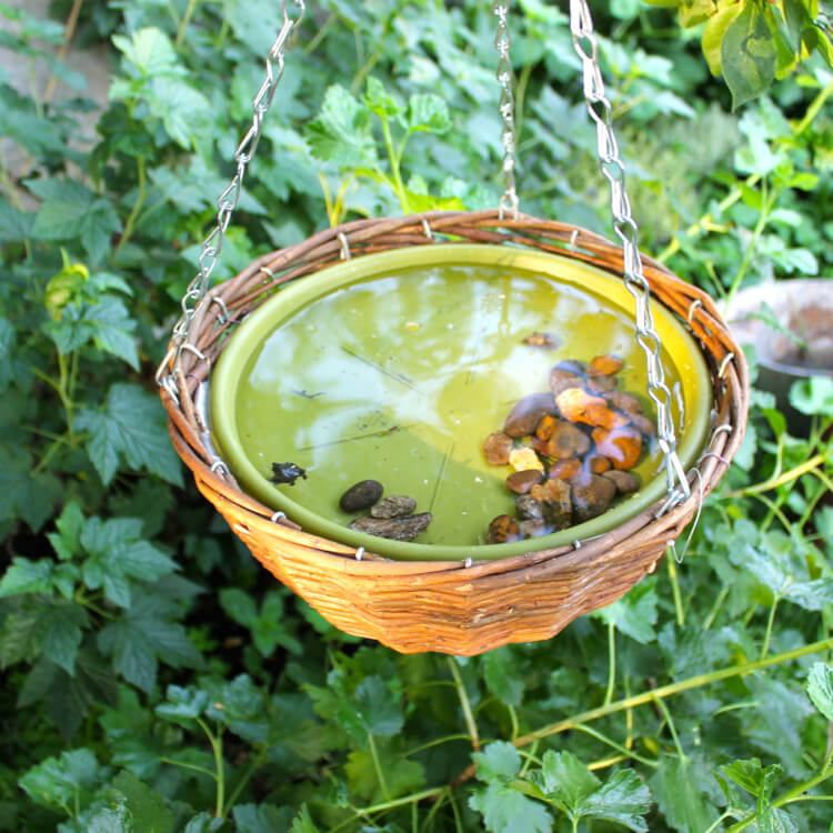 Postavte si vlastný vtáčí kúpeľ na zavesenie. Nápad na balkón