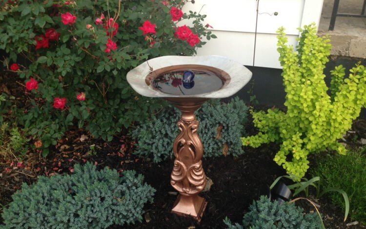 Postavte si záhradu vtáčieho kúpeľa na palici sami a navrhnite ju pomocou solárnej energie