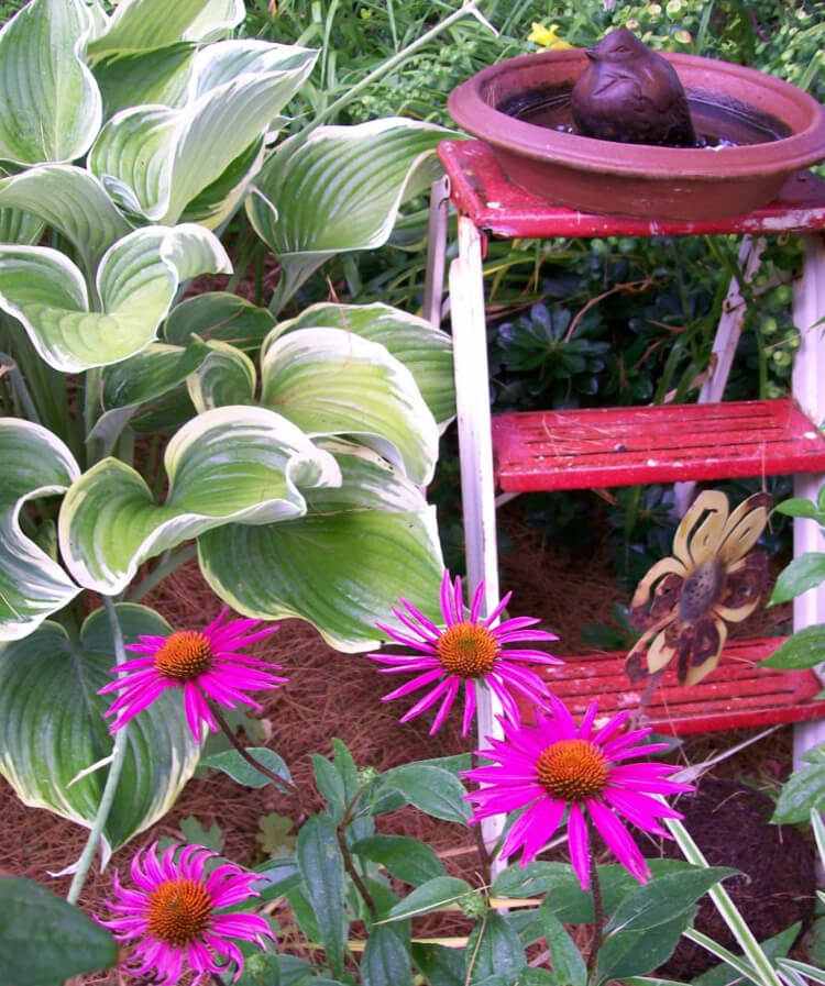 Vyrobte si svoj vlastný vtáčí kúpeľ na rebríku