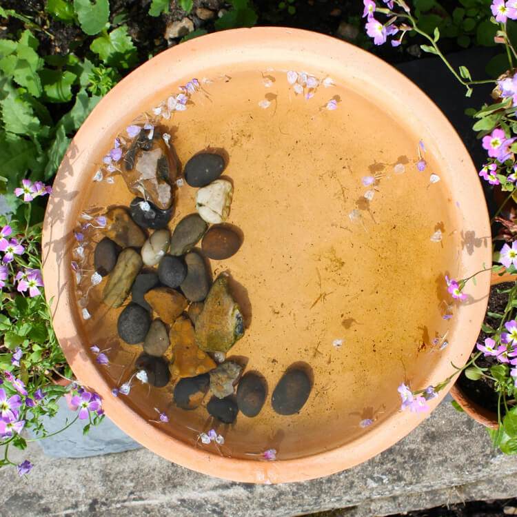 Postavte si svoj vlastný vtáčí kúpeľ a navrhnite ho pomocou riečnych kameňov a kvetov