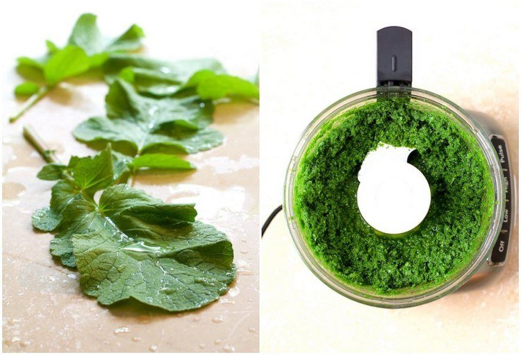 Vyrobte si svoj vlastný kuchynský robot pesto z reďkovky