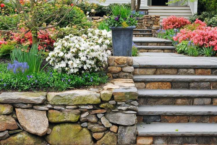 Vytvorte predný dvor-kríky-kríky-ľahký-ošetrujúci-dizajn