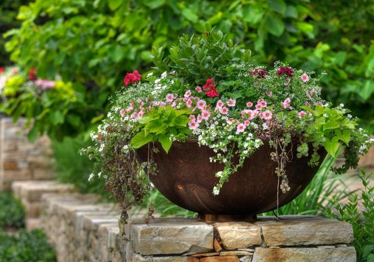 Výsadba-predná dvorka-výsadba-kvetináčov-sezónne