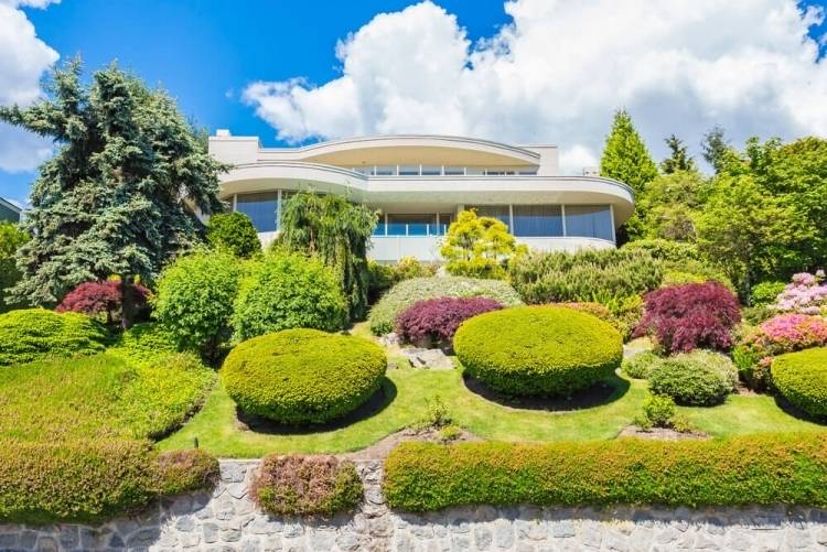 Vytvorte predzáhradku vždyzelených kríkov