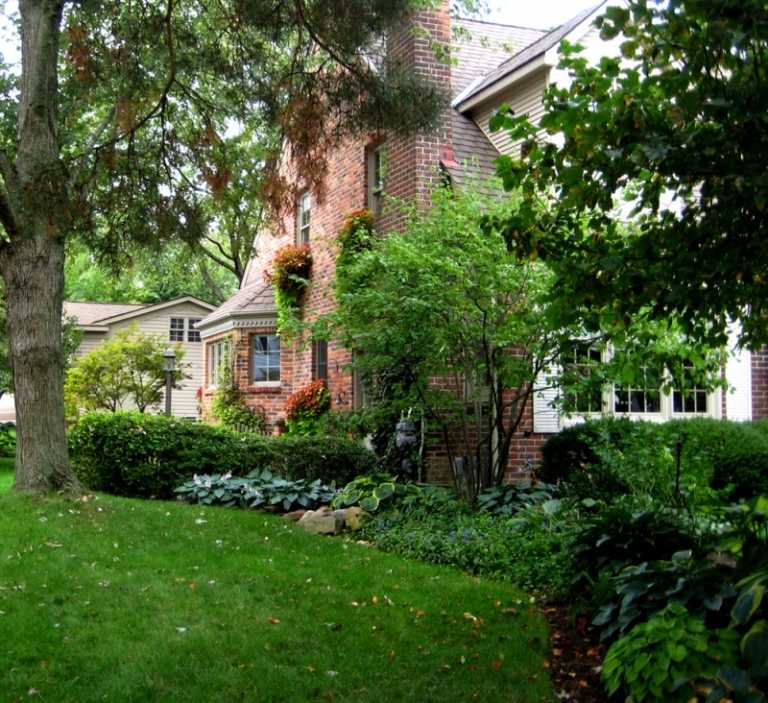 predzáhradka-dizajn-nápady-strom-svieže-zelené-kríky-rastlina-tehla