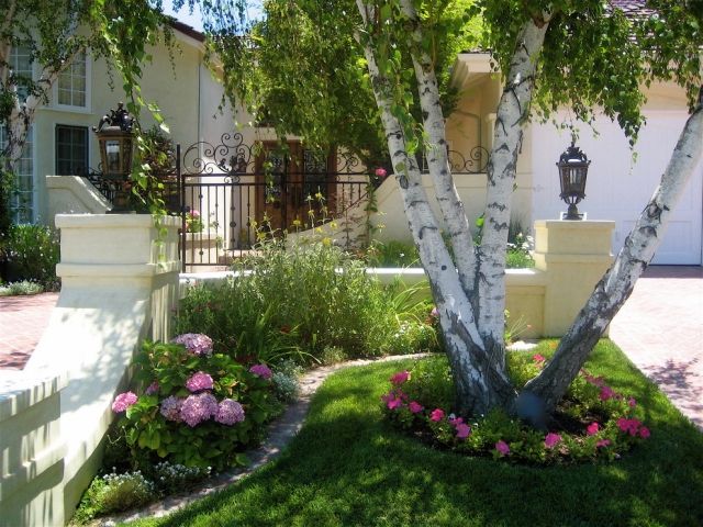 nápad-predný dvor-hortenzie-petúnie-breza