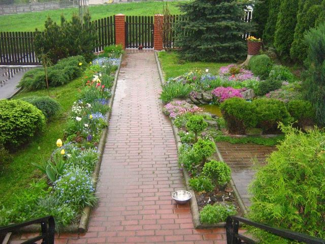 Vytvorte nápady na prednú záhradu-thuja-jedľa-súkromie-obrazovka-chodník-tehly