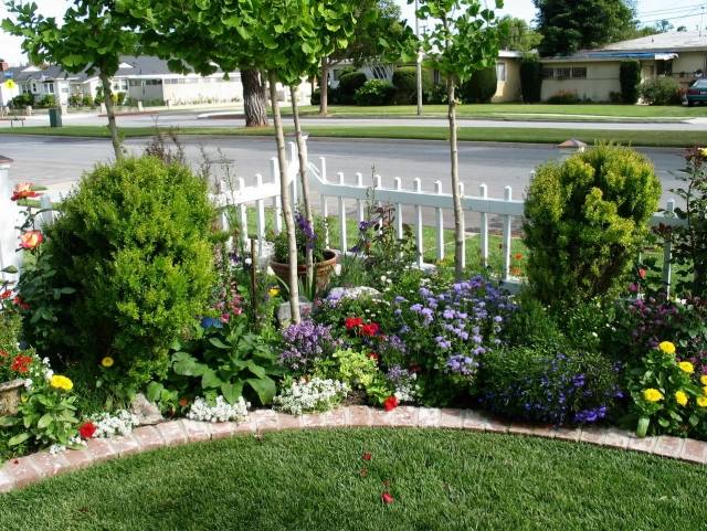 predzáhradka-dizajn-nápady-biely-plotový plot-mladé-stromy-rastliny