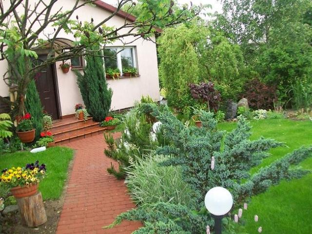 predná záhrada-dizajn-nápady-tehly-chodník-tuja-predné dvere