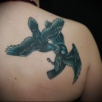 varjú harcol egy másik varjúval