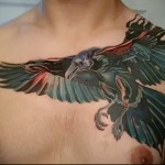 holló tetoválás a mellkason