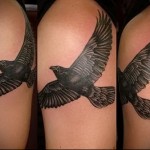 Repülő holló tetoválás a vállán