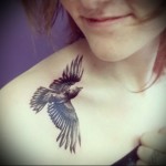 Fekete holló tetoválás a lány vállán