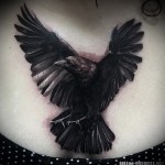 Holló tetoválás a mellkas közepén