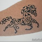 fotó Ideiglenes tetoválások 2017.08.12. №010 - Ideiglenes tetoválás_