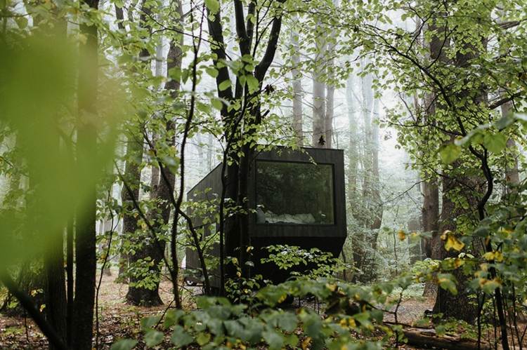 stromy les malý lesný dom okno čelný pohľad