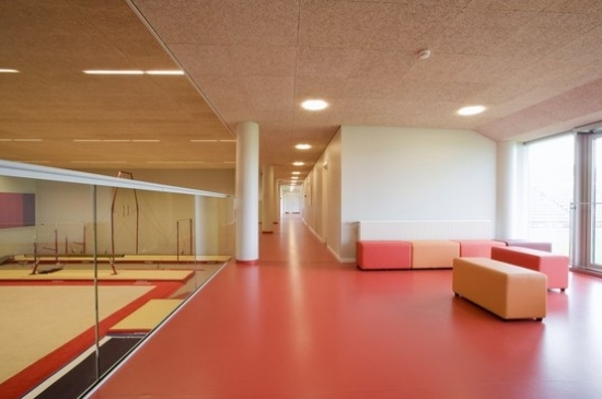 Obklady stien a stropov Športová miestnosť Troldtekt Obklady stien a stropov v športovej miestnosti Troldtekt